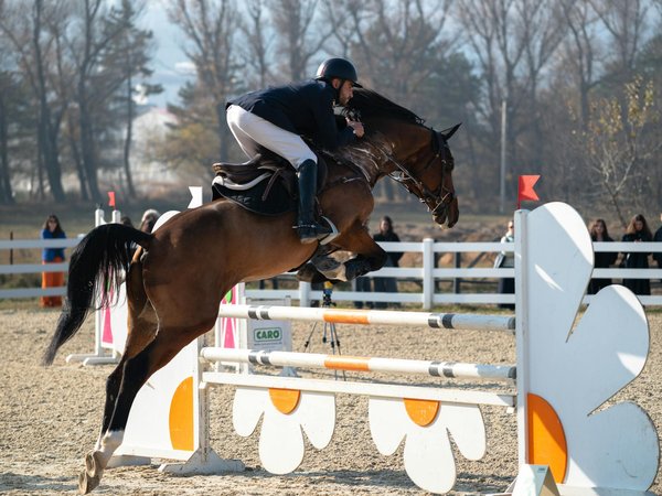 Maximiser votre séance de pompes avec ces accessoires essentiels